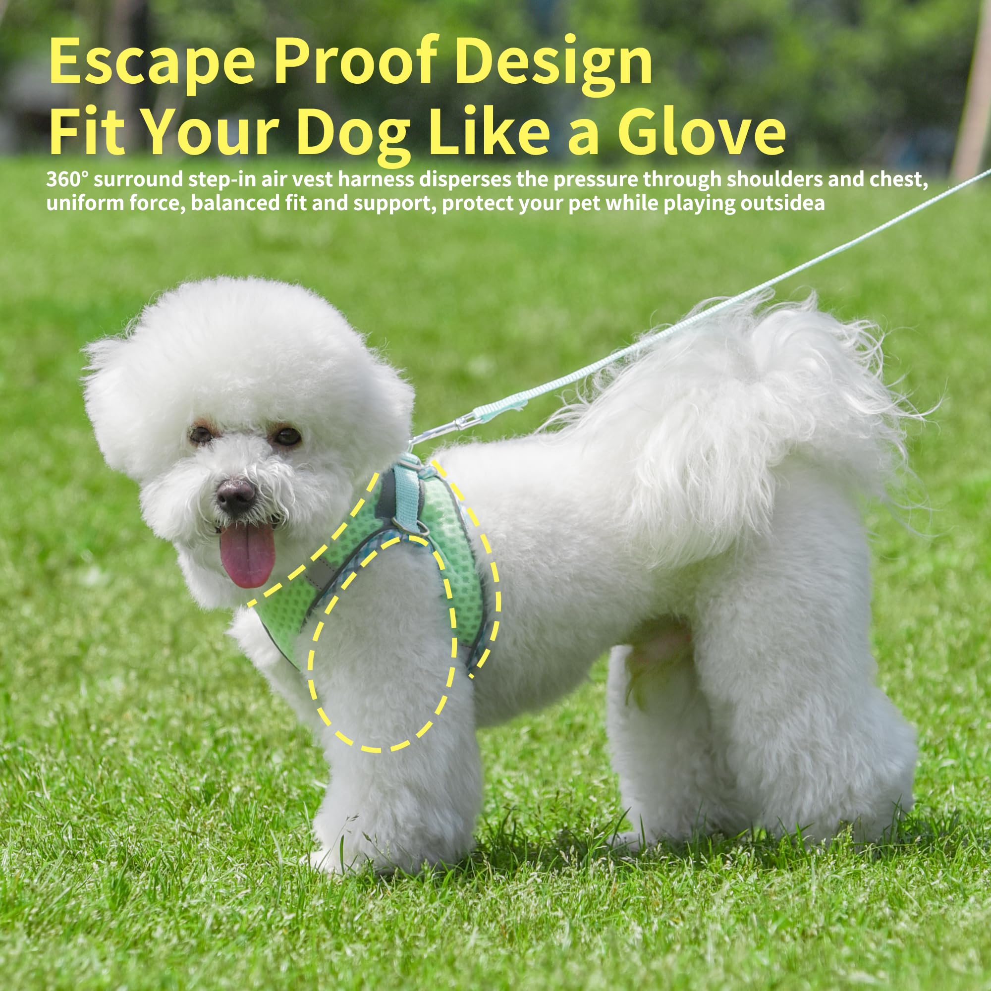 Joypaws Summer Soft Dog Harness And Leash Set,Ultra Thin Breathable Diamond Mesh, Step In Adjustable Dog Harness With Padded Ves